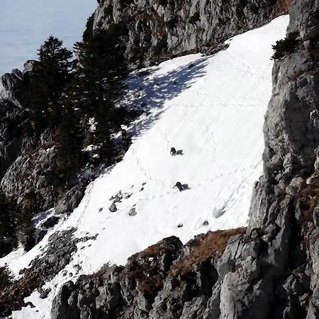 First Class Wendelstein * Brannenburg
