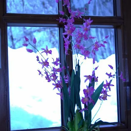 First Class Wendelstein Apartament